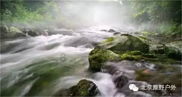 脑洞小老弟无实名认证